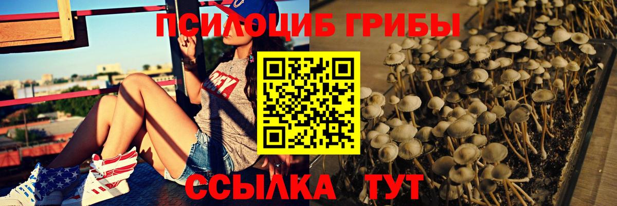 Галлюциногенные грибы MAGIC MUSHROOMS  Вход с VPN  Дивногорск 